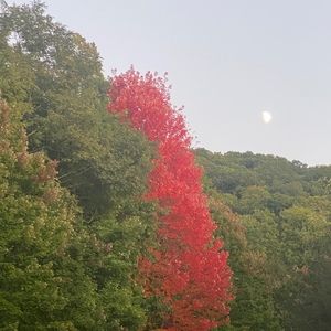 Meet your Posher, Maddy